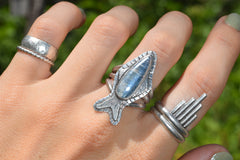 The Sardine Ring