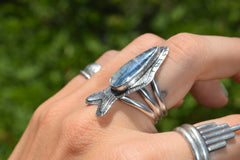 The Sardine Ring