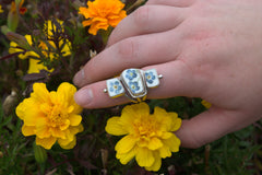 Forget me, not!