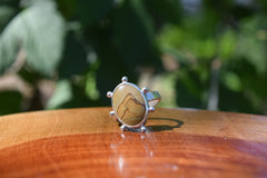 The Dunes Collection
