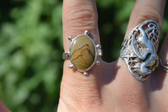 The Dunes Collection