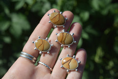 The Dunes collection
