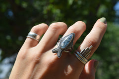 The Sardine Ring