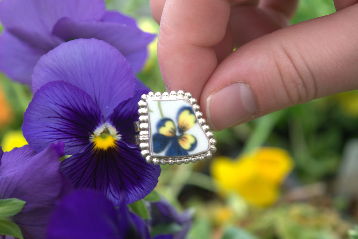 Garden Pansy