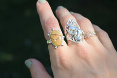 The Dunes collection