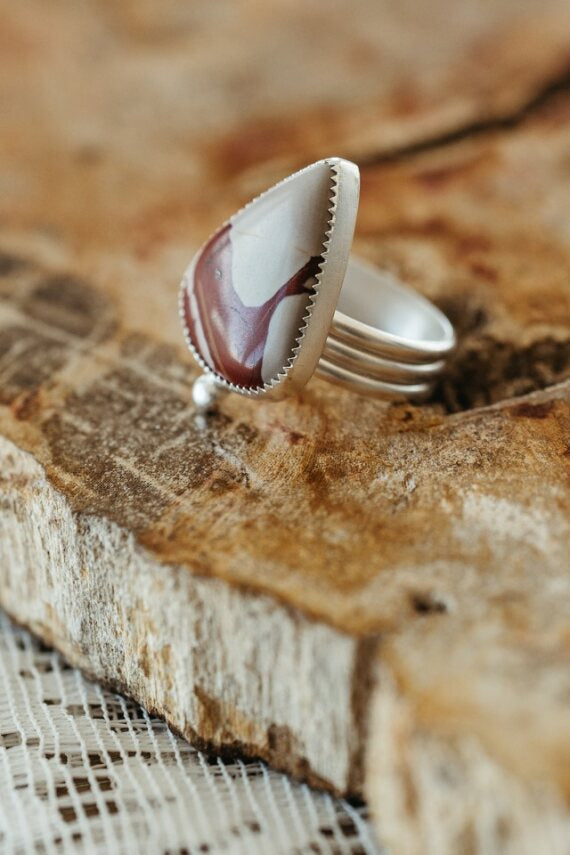 The Silver Sardine